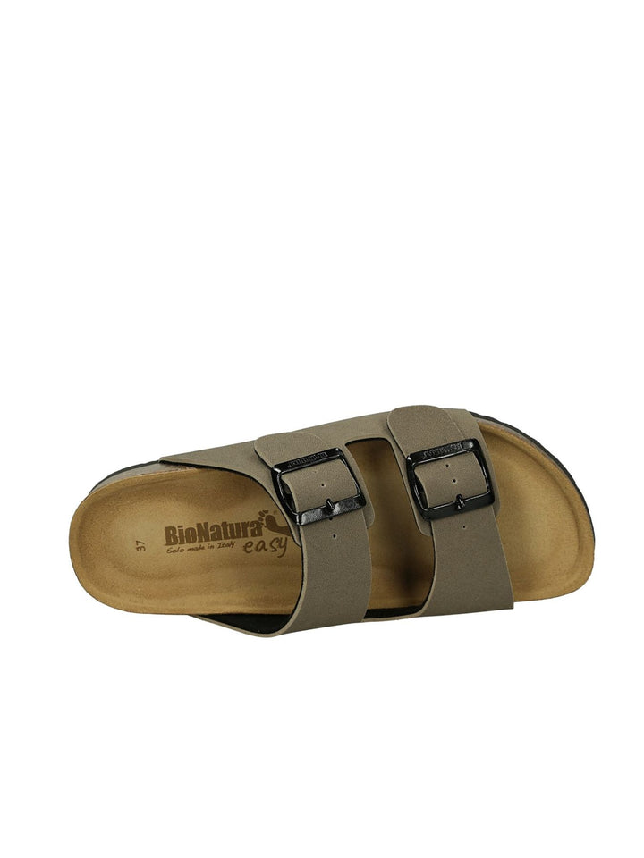 BIONATURA 94 THESIS R - Lalilina 