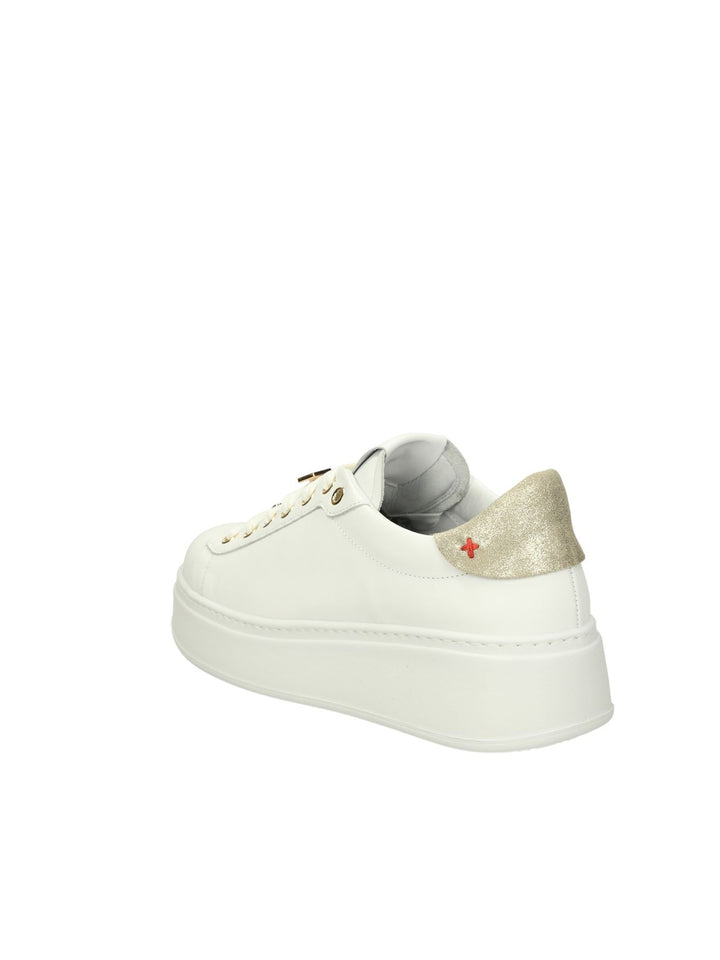 GIO + PIA146A - Lalilina 