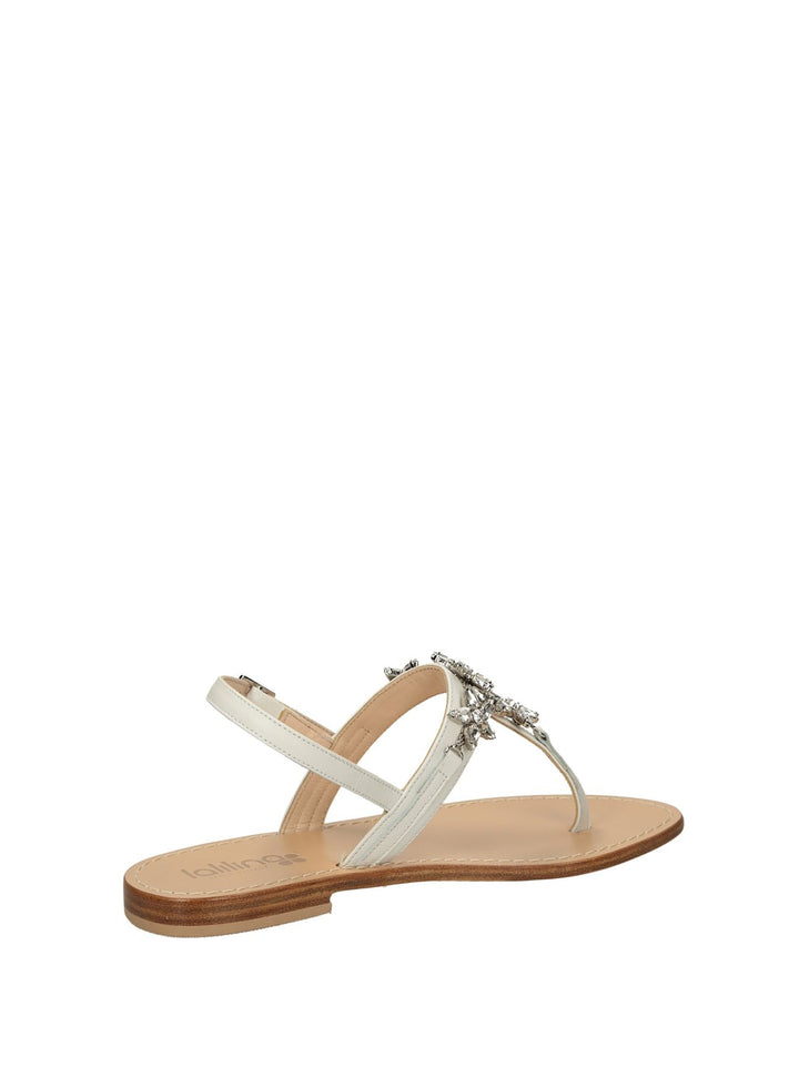 INFRADITA CINT. LALILINA POSITANO - Lalilina 