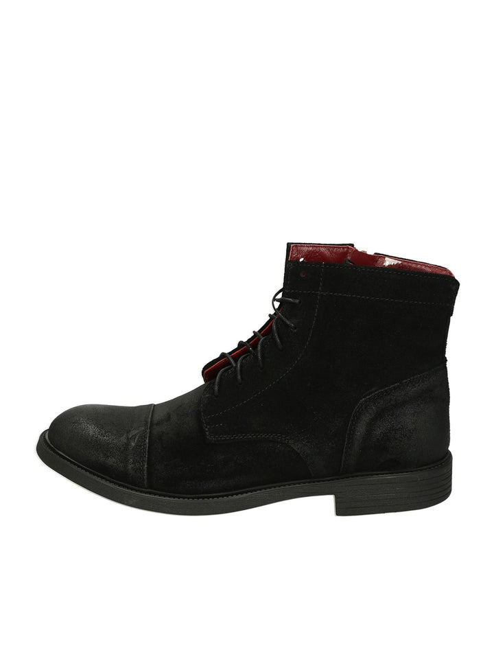 Polacco Lacci MYCLOO - Lalilina 