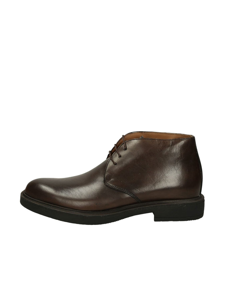 Polacco Lacci MYCLOO - Lalilina 