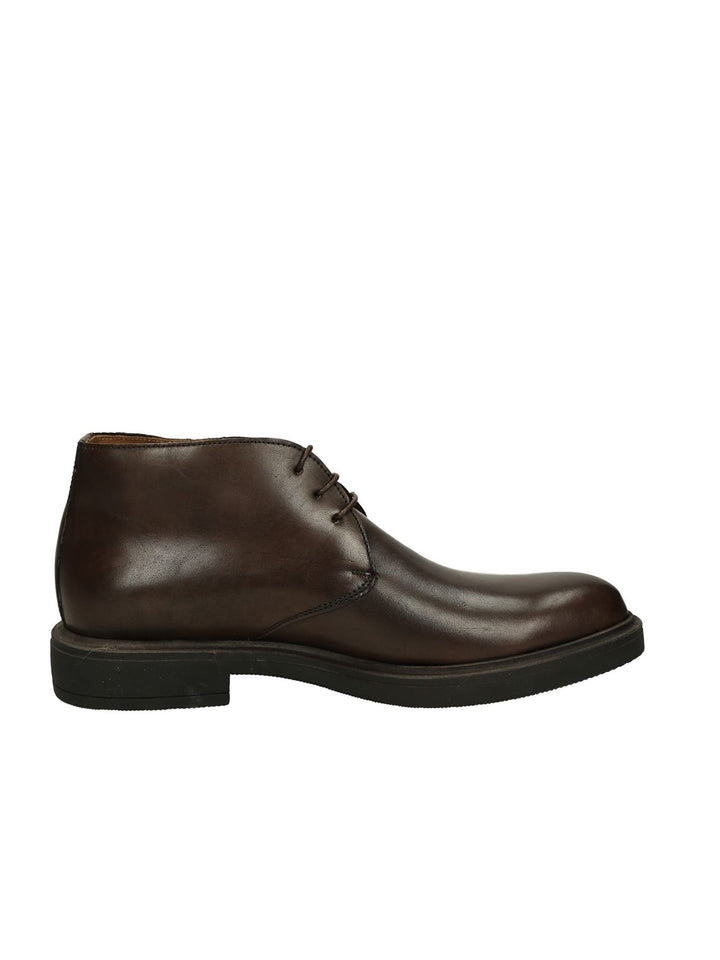 Polacco Lacci MYCLOO - Lalilina 