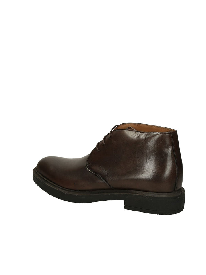 Polacco Lacci MYCLOO - Lalilina 