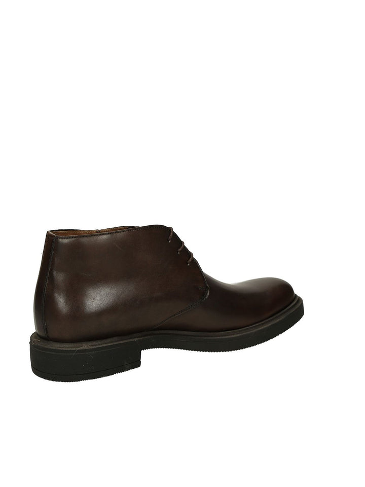 Polacco Lacci MYCLOO - Lalilina 