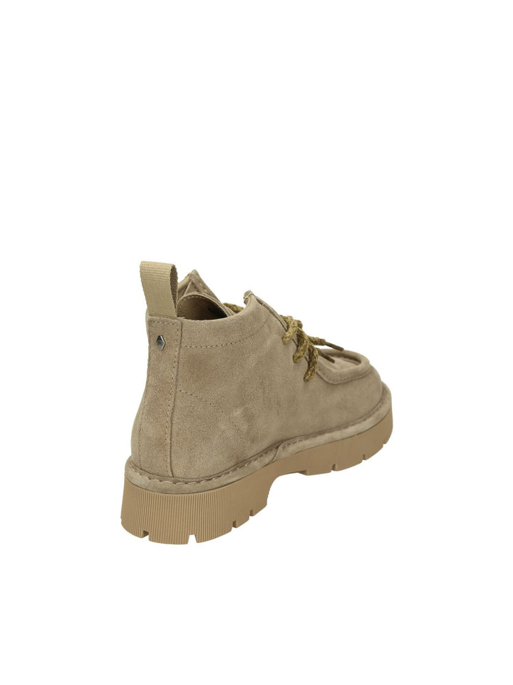 Polacco Lacci PANCHIC - Lalilina 