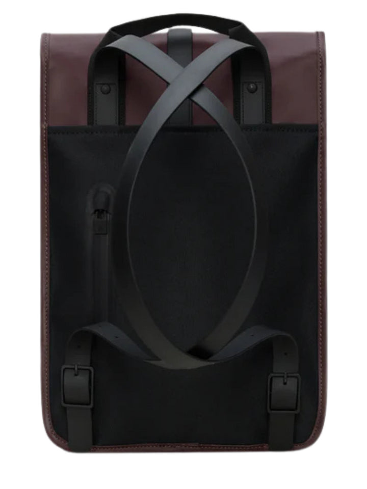 RAINS 13020 - Lalilina 