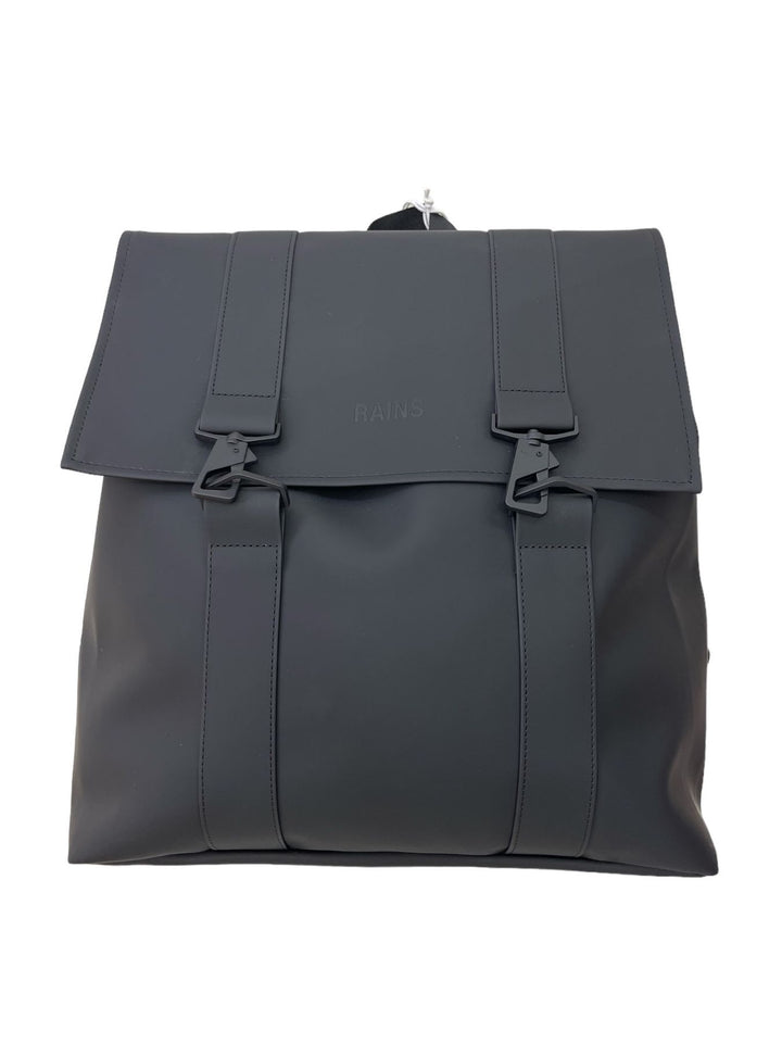 RAINS 13300 - Lalilina 