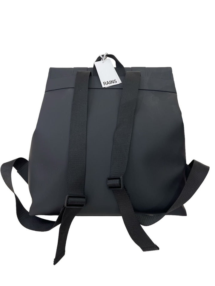 RAINS 13300 - Lalilina 