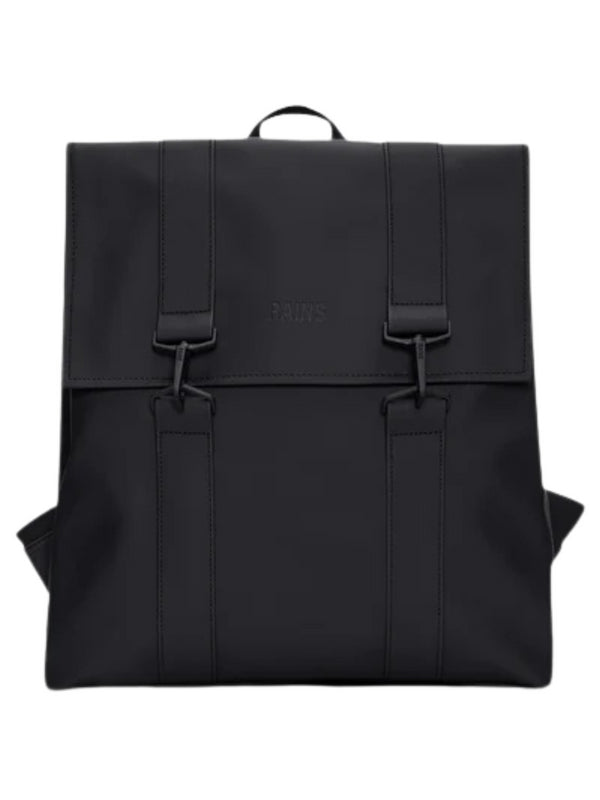 RAINS 13300 - Lalilina 