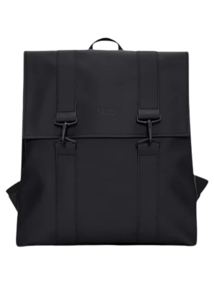 RAINS 13300 - Lalilina 