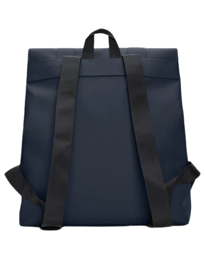 RAINS 13300 - Lalilina 