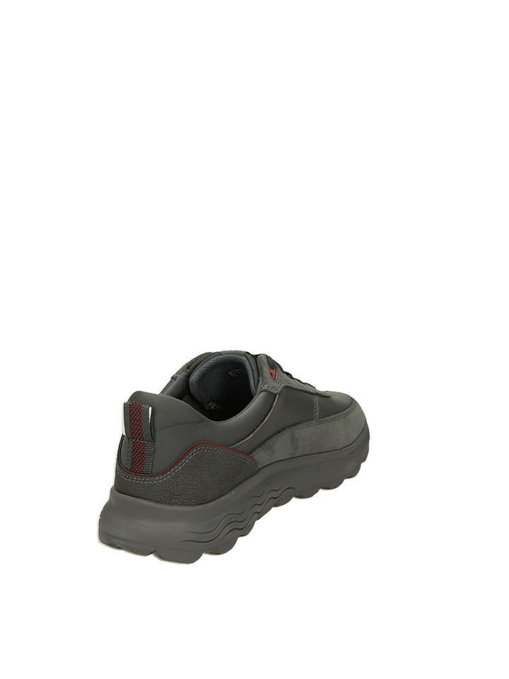 SNEAKERS BASSE GEOX - Lalilina 