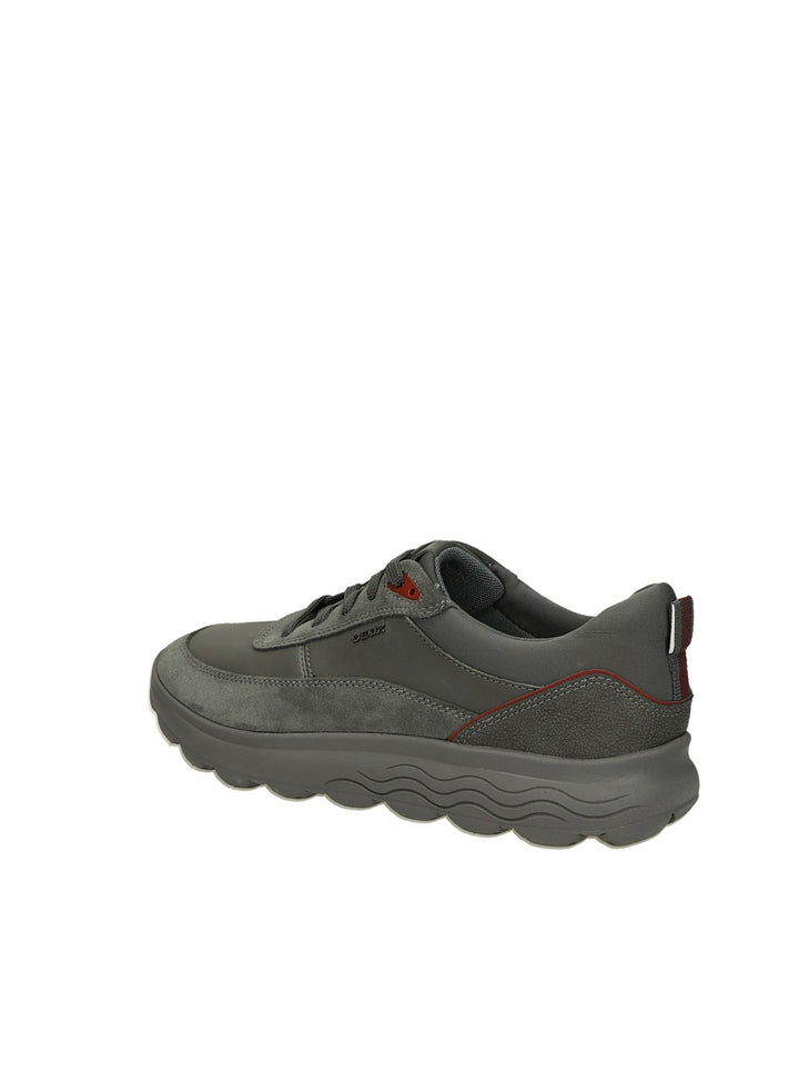 SNEAKERS BASSE GEOX - Lalilina 