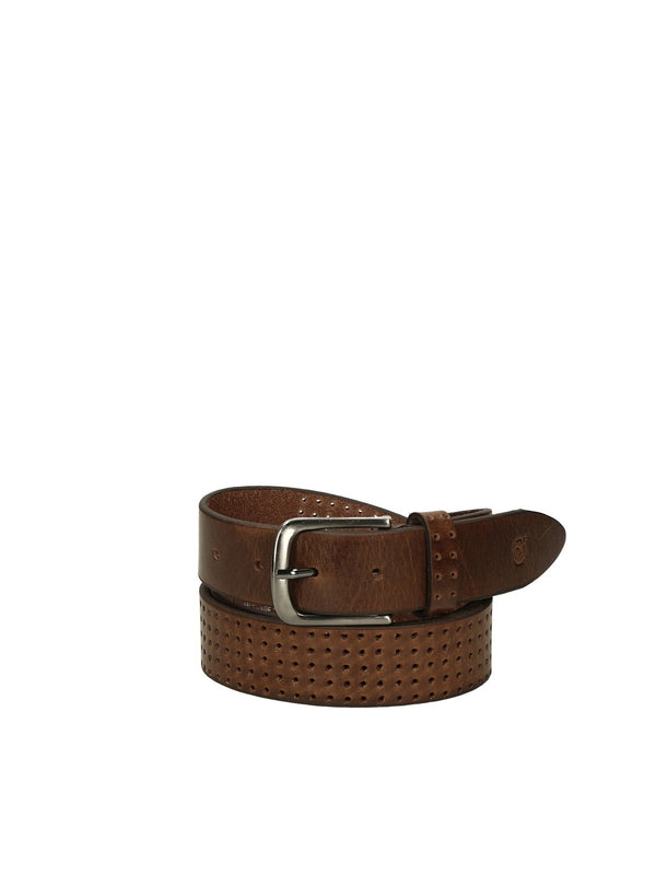 cinture MYCLOO - Lalilina 