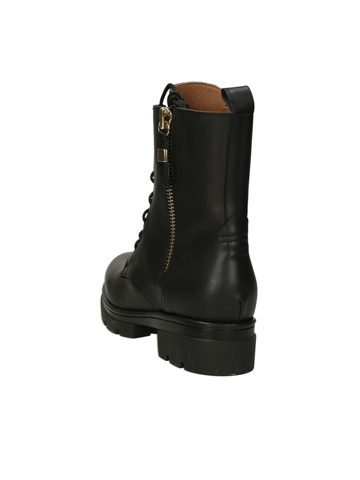 Polacco Lacci ALBANO - Lalilina 