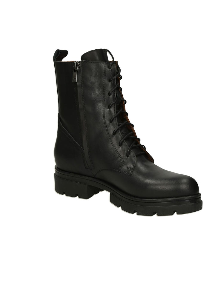 Polacco Lacci ALBANO - Lalilina 