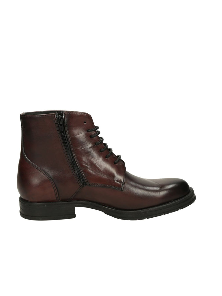 Polacco Lacci MYCLOO - Lalilina 