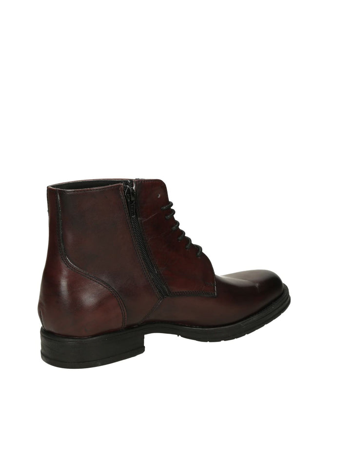 Polacco Lacci MYCLOO - Lalilina 