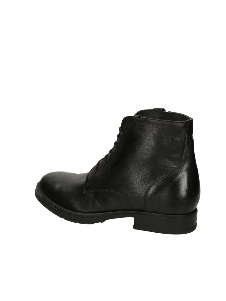 Polacco Lacci MYCLOO - Lalilina 